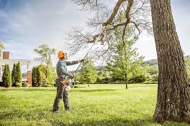 Seasonal Cleanup (Spring/Fall) in Fort Belvoir, VA