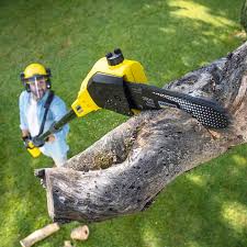 Lawn Irrigation Installation and Maintenance in Fort Belvoir, VA