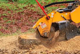 Best Utility Line Clearance  in Fort Belvoir, VA