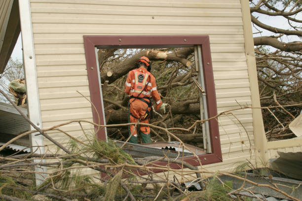 How Our Tree Care Process Works  in  Fort Belvoir, VA