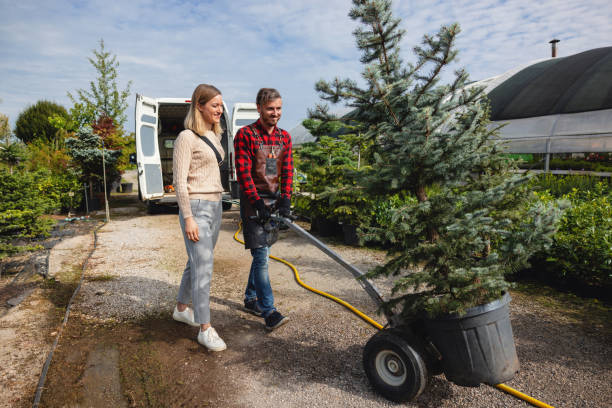 Best Fruit Tree Pruning  in Fort Belvoir, VA